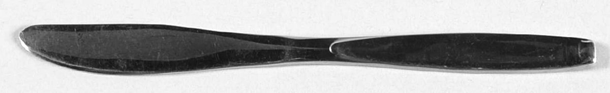 Tanglewood (Stainless) Flat Handle Butter Spreader by Gorham Silver-1