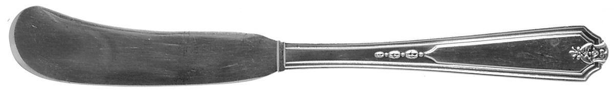 Vanity Fair (Silverplate, 1923) Flat Handle Butter Spreader by Gorham Silver-1
