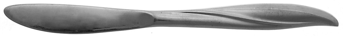 Waikiki (Stainless) Flat Handle Butter Spreader by Gorham Silver-1