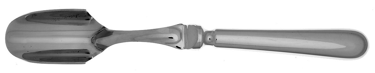 Beau Manoir-Blois (Stainless) Cheese Scoop with Stainless Scoop HC by Guy Degrenne-1