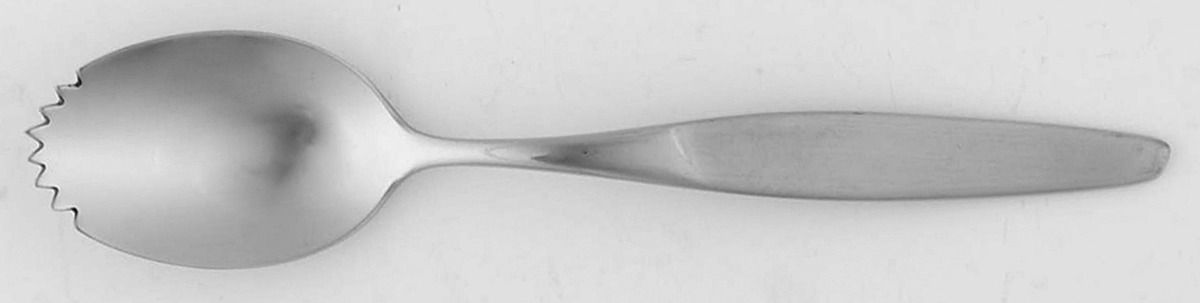 Anita (Stainless) Fruit/Orange Spoon Individual, Serrated Bowl HC by Gustav-1