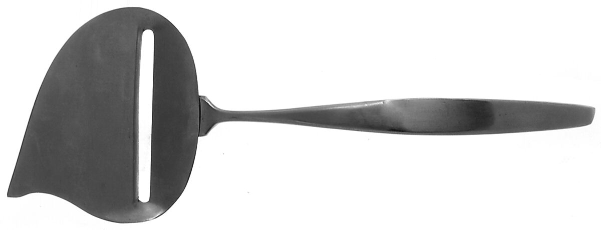 Anita (Stainless) Cheese Plane Solid Piece by Gustav-1