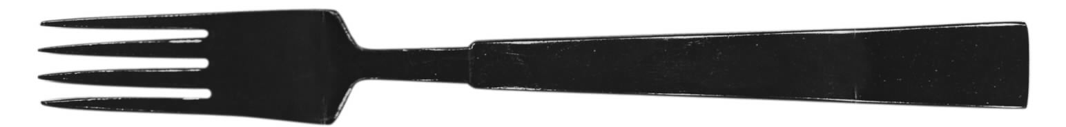 GUV4 (Stainless) Fork by Gustav-1