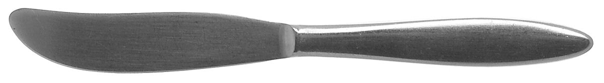 Ingrid (Stainless) Flat Handle Butter Spreader by Gustav-1
