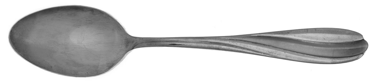 Flora Frosted (Stainless) Teaspoon by Gorham Silver-1