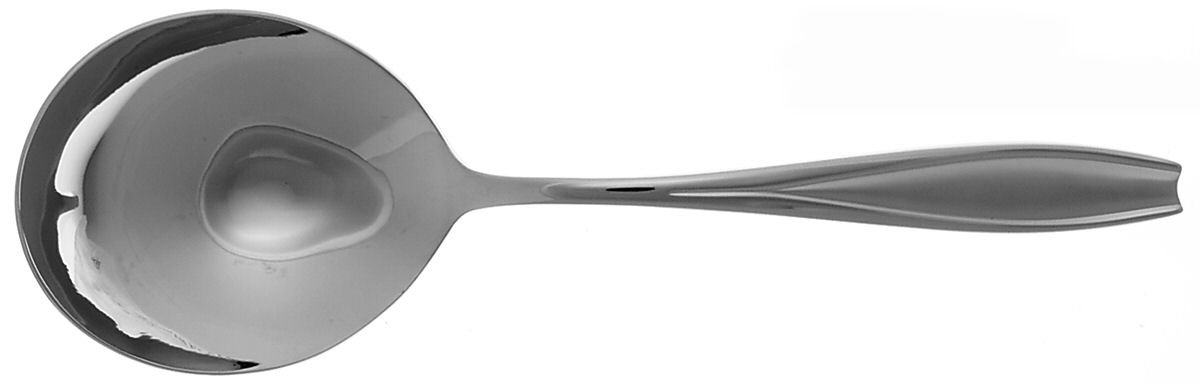 Tulip Frosted (Stainless) Solid Smooth Casserole Spoon by Gorham Silver-1