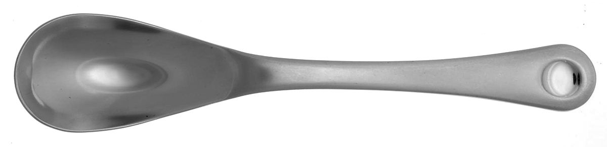 Disc (Stainless) Solid Serving Spoon by Ginkgo-1