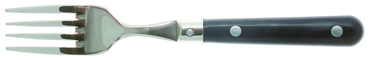 Le Prix-Navy Blue (Stainless) Individual Salad Fork by Ginkgo-1