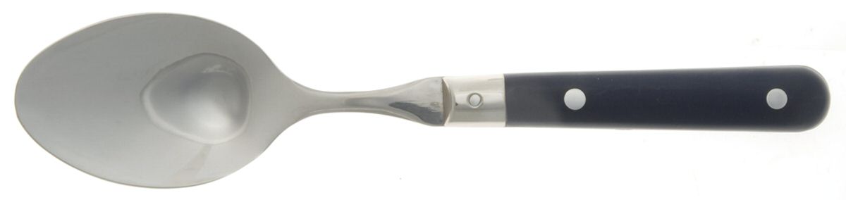 Le Prix-Navy Blue (Stainless) Solid Serving Spoon by Ginkgo-1