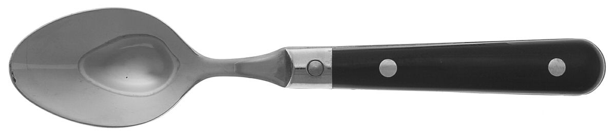 Le Prix-Black (Stainless) Teaspoon by Ginkgo-1