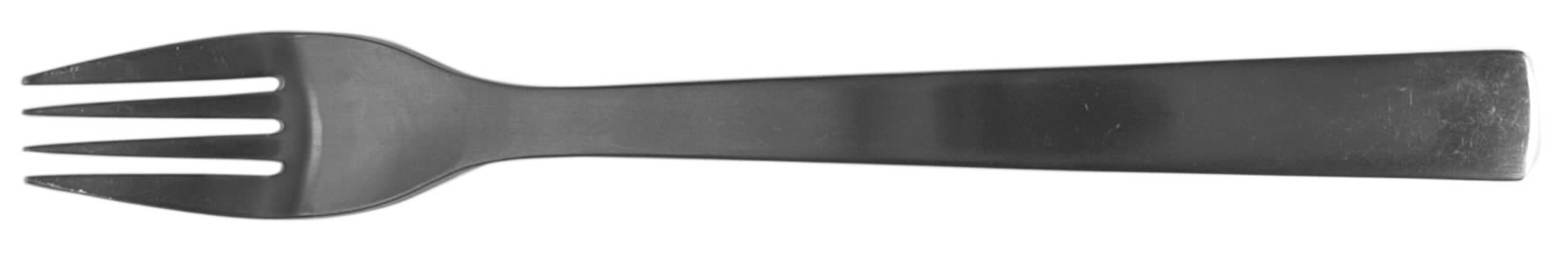 Carry On (Stainless) Fork by Trupco-1