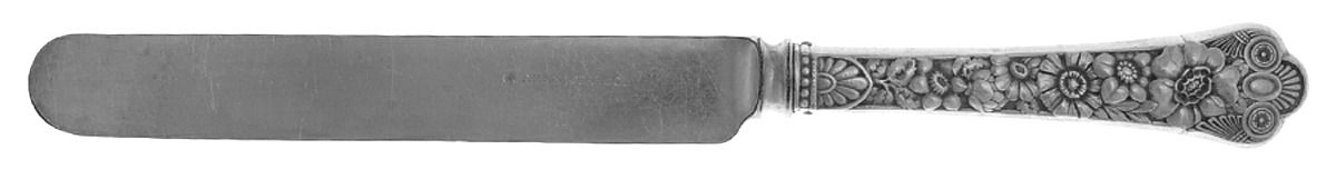Cluny (Sterling, 1880-1883) Blunt Hollow Knife with Bolster by Gorham Silver-1
