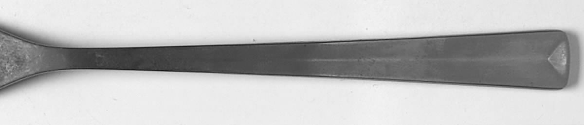 Spectra (STAINLESS) Fork by Gense-1