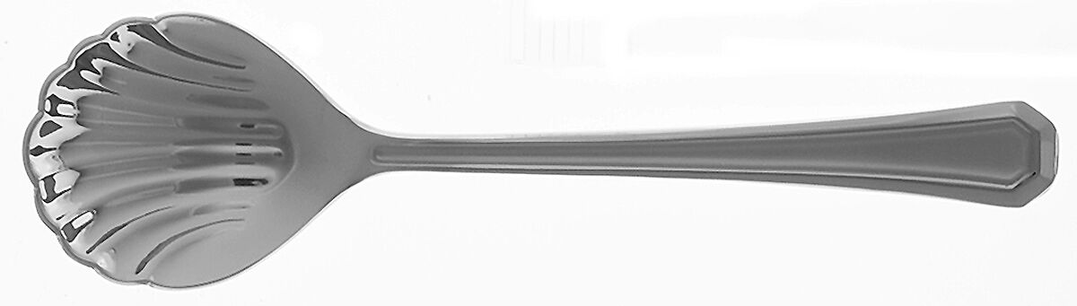 Fairview Frosted (Stainless) Sugar Shell Spoon by Gorham Silver-1