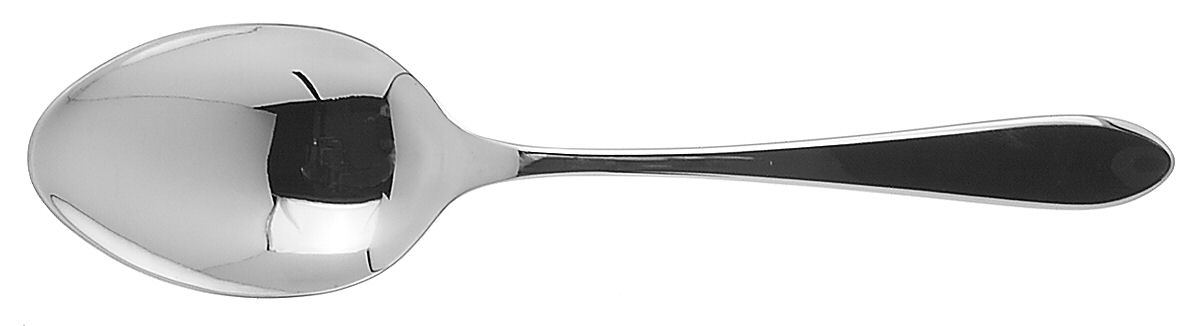 Linden (Stainless) Solid Serving Spoon by Ginkgo-1