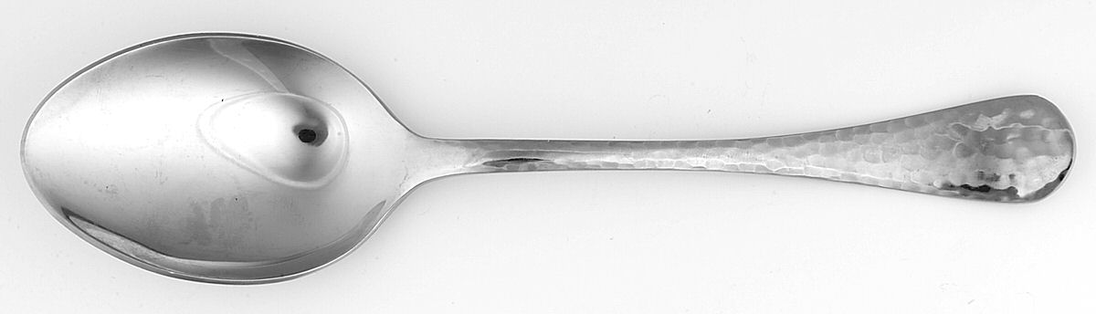 Lafayette (Stainless) Solid Serving Spoon by Ginkgo-1