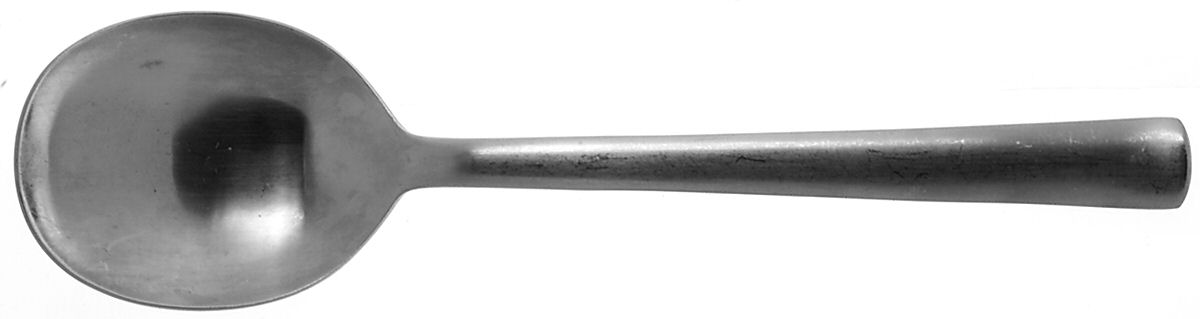 Norse-Satin (Stainless) Solid Serving Spoon by Ginkgo-1