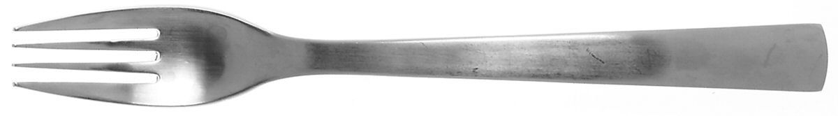 Park-Carry On (Matte, Stainless) Individual Salad Fork by Gourmet Settings-1