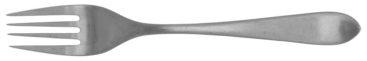 Meridian (Stainless, Satin) Individual Salad Fork by Ginkgo-1