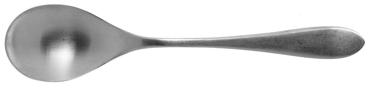 Meridian (Stainless, Satin) Teaspoon by Ginkgo-1