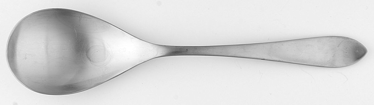 Meridian (Stainless, Satin) Solid Serving Spoon by Ginkgo-1
