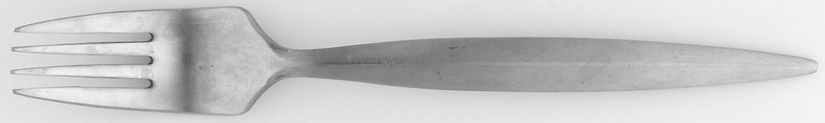 Steelgrass (Stainless) Individual Salad Fork by Gourmet Settings-1