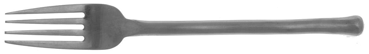 Exotique Platinum (Stainless) Fork by Gourmet Settings-1