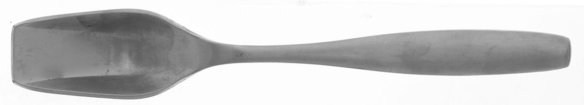Non-Stop (Stainless) Sugar Spoon by Gourmet Settings-1