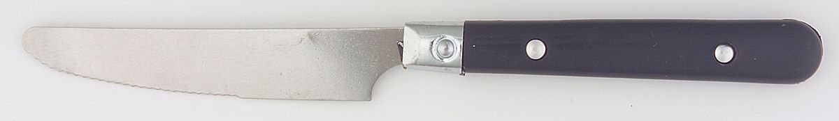 Casual Living-Cobalt (Stainless, Plastic) New French Solid Knife by Gibson-1