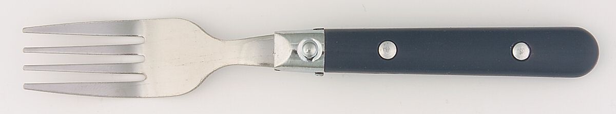 Casual Living-Cobalt (Stainless, Plastic) Individual Salad Fork by Gibson-1