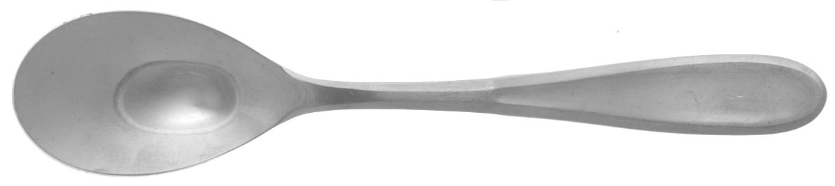 GON7 (Stainless) Teaspoon by Gourmet Settings-1