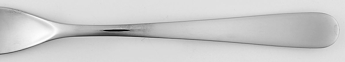 Aquatic (Stainless) Fork by Guy Degrenne-1