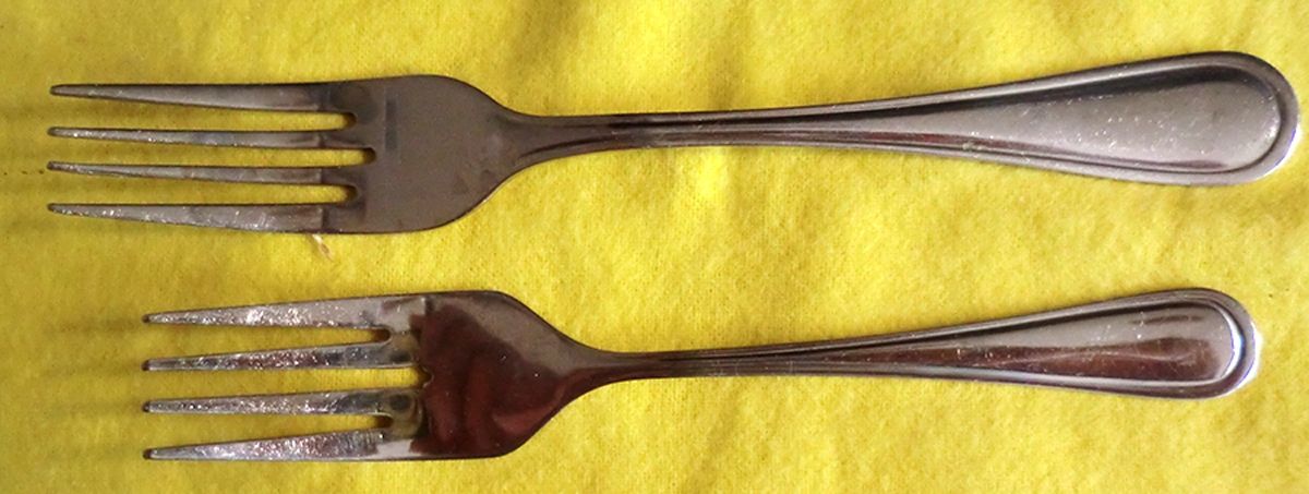 Alexis (Stainless) Fork by Gibson-1