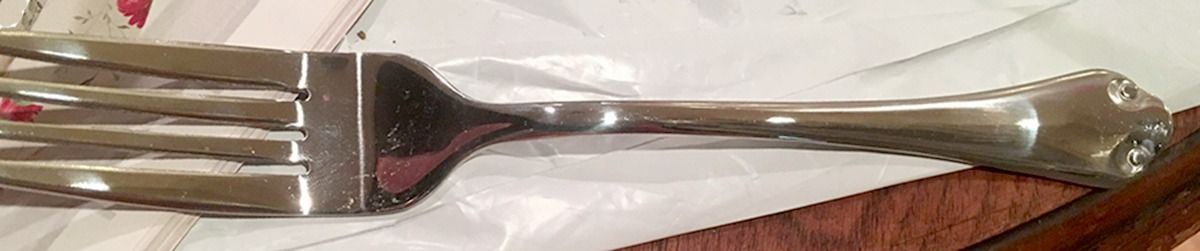 Hollandale (Stainless) Fork by Gibson-1
