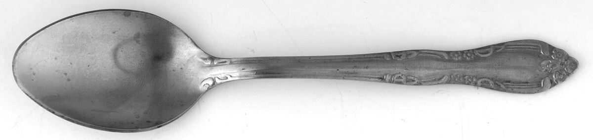 Abbie (Stainless) Teaspoon by Gibson-1