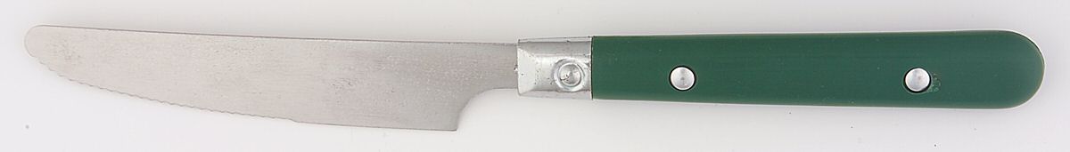 Casual Living-Hunter (Stainless, Plastic) New French Solid Knife by Gibson-1