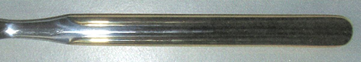 GGN5 (Stainless, Gold Accent Trim) Teaspoon by Gottinghen-1
