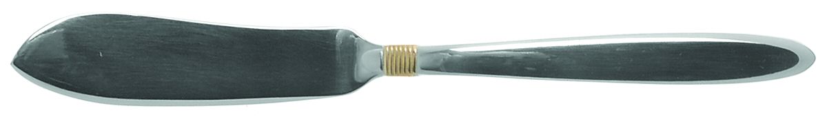Narragansett Gold (Stnls, No Wings) Flat Handle Master Butter Knife by Gorham Silver-1