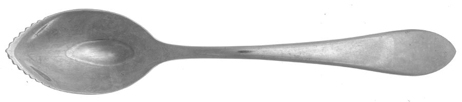 Meredith II (Stainless) Fruit/Orange Spoon by Gorham Silver-1