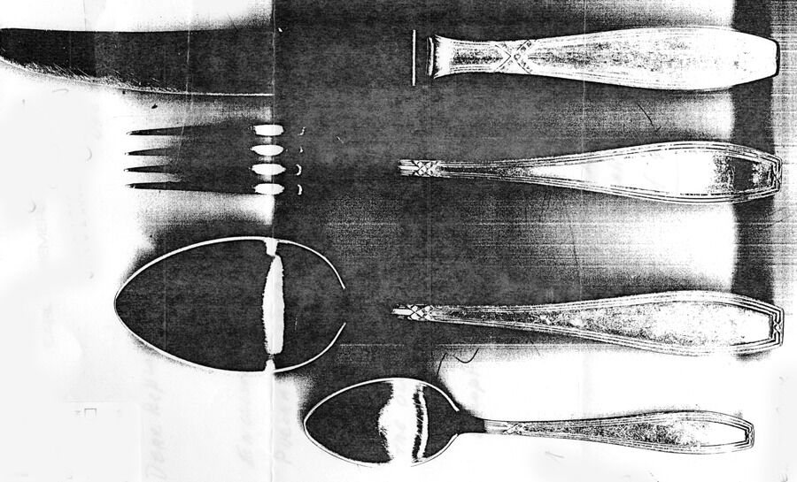 GWS2 (Silverplate) Fork by Gowe-1