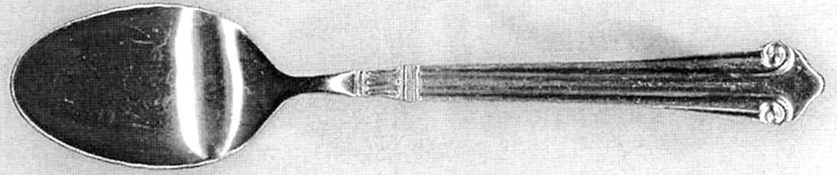 GOI21 (Stainless) Teaspoon by Godinger-1