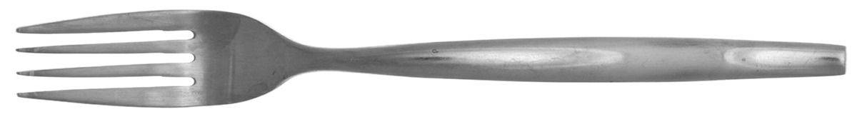 Frame (Stainless) Fork by Gourmet Settings-1