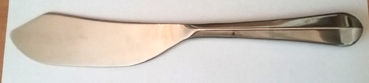 Celebration (Stainless) Large Solid Fish Server by Gourmet Settings-1
