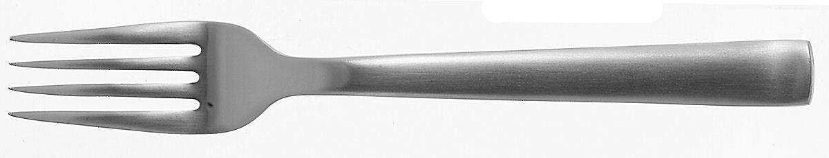 Norse-Glossy (Stainless) Individual Salad Fork by Ginkgo-1