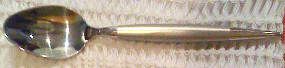 GIA32 (Stainless) Teaspoon by Gibson-1