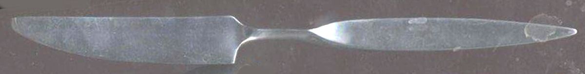 GON14 (Stainless) New French Solid Knife by Gourmet Settings-1