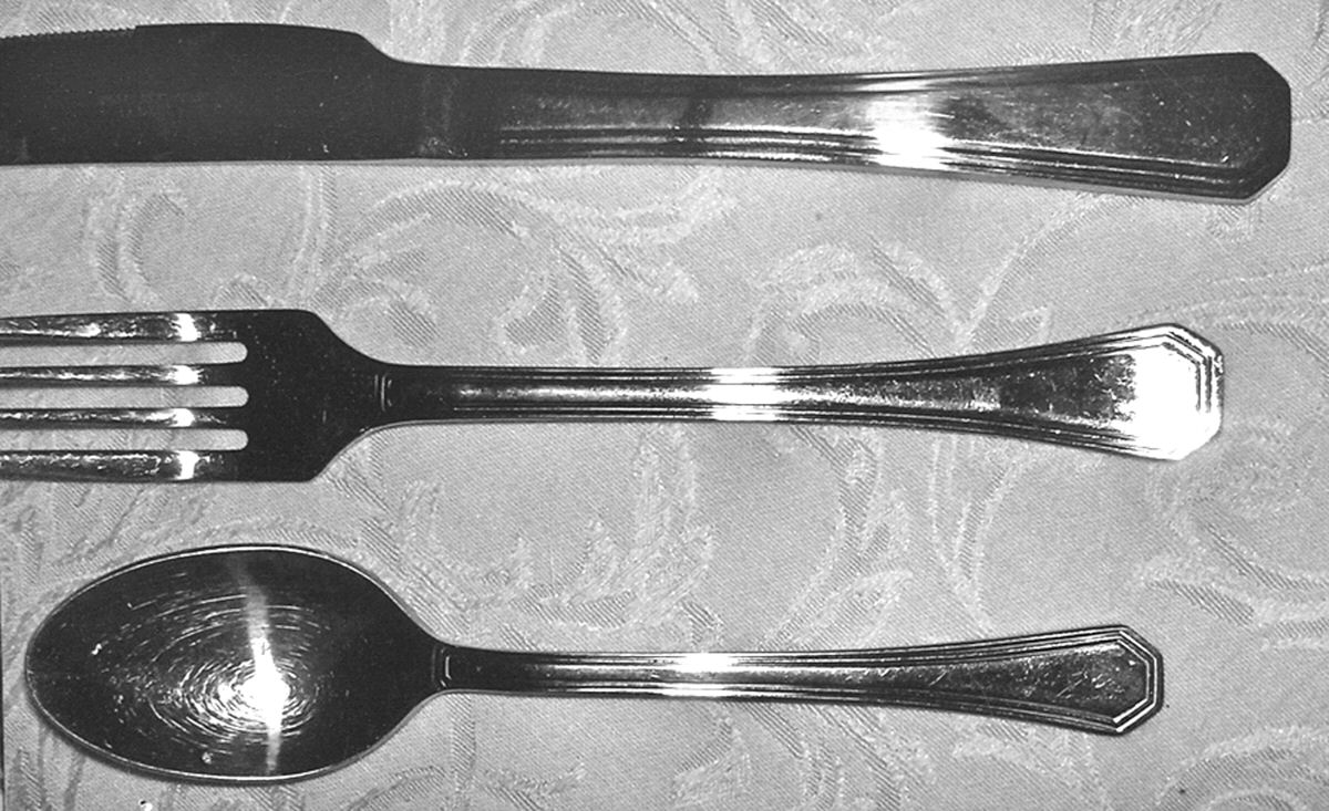 GIA34 (Stainless) Fork by Gibson-1