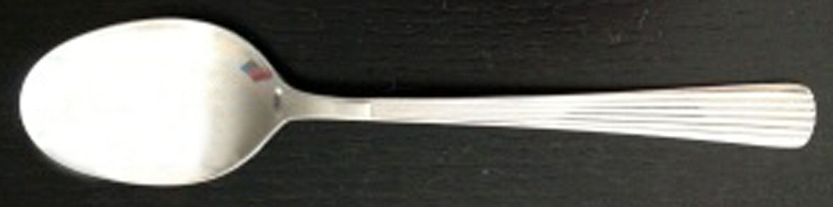 GF5 (Stainless) Teaspoon by Grosvenor-1