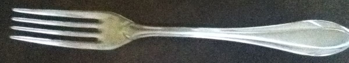 Jenna-Satin (Stainless) Fork by Gottinghen-1