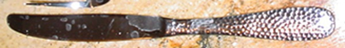 GIA39 (Stainless) Modern Solid Knife by Gibson-1